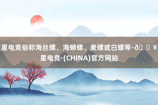 火星电竞俗称海丝螺、海蛳螺、麦螺或白螺等-🔥火星电竞·(CHINA)官方网站